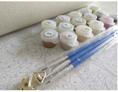 40*50cm DIY Oil Painting Home Decoration Painting