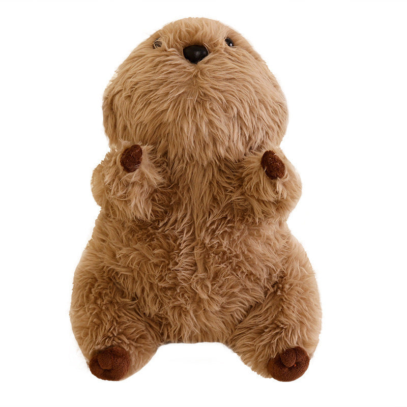 Cute Seel Doll Plush Toys Soothing Pillow Ragdoll