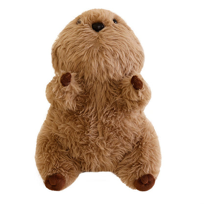 Cute Seel Doll Plush Toys Soothing Pillow Ragdoll