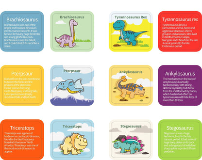 Rainbow Counting Dinosaurs Early Education Cognitive Montessori Early Education