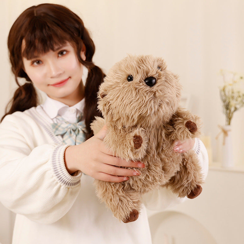 Cute Seel Doll Plush Toys Soothing Pillow Ragdoll