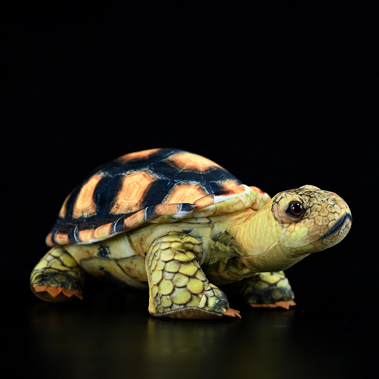 Simulated Land Turtle Doll Cute Turtle Doll Plush Toy